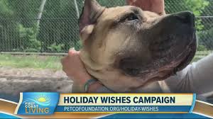 If you're after an august holiday that deals in top sunbathing spots where you can unwind in peace, then this is the place to go. Holiday Wishes Grant Campaign Fcl August 19 2020 Firstcoastnews Com