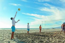 Image result for Oldenlandia verrucitesta