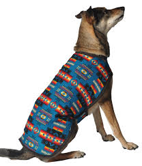 turquoise southwest dog blanket coat