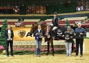 THIS & ARIAT Medals - CAPITAL CHALLENGE