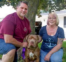 Maybe you would like to learn more about one of these? Local Animal Shelters Rescue Groups See Dramatic Rise In Pet Adoptions During Coronavirus Pandemic