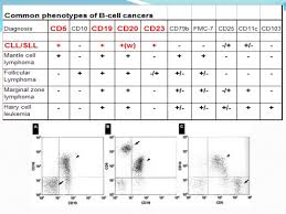 Flow Cytometry