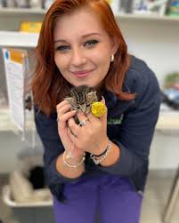 Winston-Salem dog care job openings available