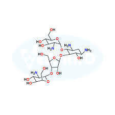 Image result for Paromomycin