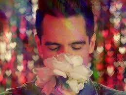 Remarkable collection of blooming flowers animated gif images. Flower Gifs Get The Best Gif On Giphy