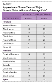 Juvenile Orthopedic Disease In Dogs Cats Part 1