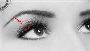 Kedutan bisa terjadi di kelopak mata kanan atas dan kanan bawah. 15 Arti Kedutan Mata Kanan Atas Yang Harus Kamu Tahu Parasayu Net