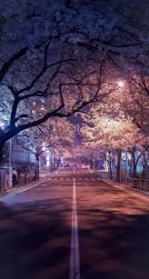 Maybe you would like to learn more about one of these? Cherry Blossoms At Night Japan Download At Www Myfavwallpape Iphonewallpap Mix Photo Cherry Blossom Wallpaper Nature Photography Fantasy Landscape