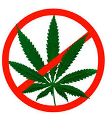 Resultado de imagen para legalizar drogas