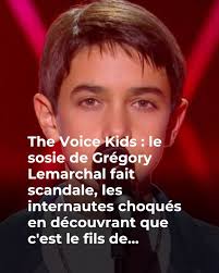 Le sosie de Grégory Lemarchal choque The Voice Kids… quand les internautes  découvrent qui est son père ! 😱👇 Voir plus`