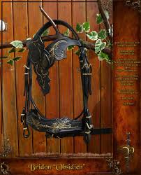 Renes Bride Filet Les Cuirs Paillier Cuir Repoussage Repousse Fantaisie Equitation Cheval Dressage Sellerie Horse Costumes Horse Gear Horse Bridle