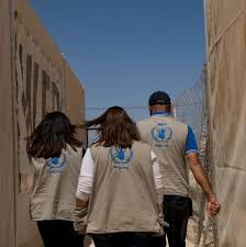 The united nations world food programme is the world's largest humanitarian agency fighting hunger worldwide. World Food Programme Salaries Glassdoor
