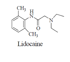 LidocainegCYP450N«ҲͤNª̨㦳CNS toxici..-uW