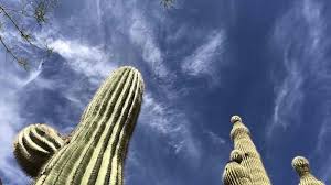 Search apartments in cactus villa, scottsdale, az and nearby with the largest and most trusted rental site. Family Guide To Old Town Scottsdale With Kids Where To Eat Stay Play