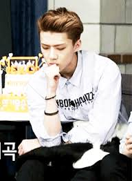 images?q=tbn:ANd9GcRgvm-gRqEe0-LUp4NEq4FiDz9o5i1DCBMRNA&usqp=CAU