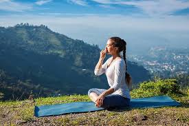 An extensive pranayama course to get a profound understanding of breathing and meditation. Udgeeth Pranayama A Novices Handbook Sandhu Products