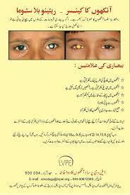 Pin On Photored Save Life Sight