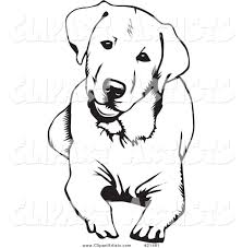 Philips respironics issued a recall for some cpap and bilevel pap devices and mechanical ventilators. Labrador Coloring Pages Google Search Dog Tattoos Labrador Retriever Art Dog Outline