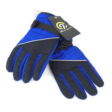 C9 Champion Boys Waterproof Winter Ski Gloves Nwt