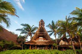 Gobierno es irresponsable con créditos internacionales. Ahau Tulum El Hotel Donde La Naturaleza Es El Nuevo Lujo Bleu Blanc