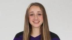 All-area volleyball: Local players dominate at the net