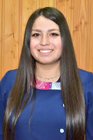 Asistentes Técnicos de Educación