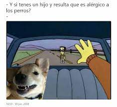 Yo Soy Alergica A Los Perros Memes Divertidos Memes Perros Memes