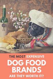 9 Most Expensive Dog Foods Worth The Extra Dollars 2021 Reviews Expensive Dogs Dog Food Brands Dog Food Recipes