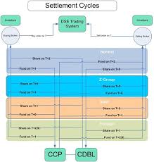 dse clearing and settlement system