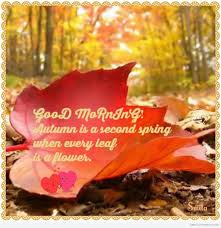 The other half is finding a misty scene that's worth photographing. Good Morning Autumn Is A Second Spring Desicomments Com