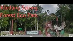 • 5 km from bandaraya ipoh • located in the kledang saiong forest reserve • hill dipterocarp forest • free admission • open daily from 7.00 am to 6.00 pm. Kledang Saiong Forest Eco Park Negol Media Youtube