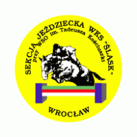 League, teams and player statistics. Slask Wroclaw Logo Vector Eps Free Download