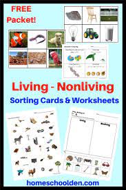 Free Living Nonliving Cards And Worksheets This Free Unit Will Help Your Kindergarten Science Homeschool Science Curriculum Kindergarten Science Curriculum