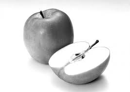 Free 3d fruit models available for download. Realistic Apple Drawing Black And White
