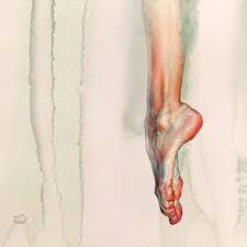 Wan Jin Gim Anatomy Art Art Drawings