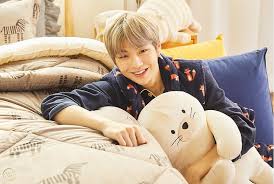 Descrição do produto em inglês após . Kang Daniel Ivory Seal Simkung Plush Doll The Spring Home Wanna One Go S2 1920863352
