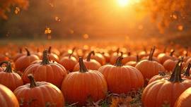 Pumpkin Patch Family Fun Festival