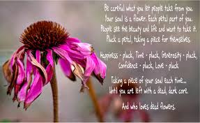 Short quotes about flowers and death. Quotes About Picking Flowers 26 Quotes