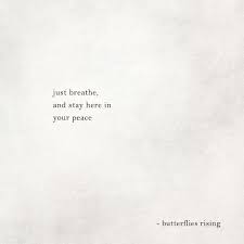 Pin On Butterflies Rising