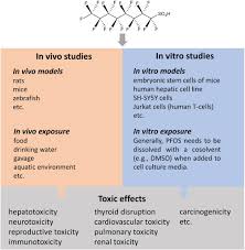 Pfos and pfoa are extremely persistent in the environment and resistant to typical environmental degradation processes. Assessing The Human Health Risks Of Perfluorooctane Sulfonate By In Vivo And In Vitro Studies Sciencedirect