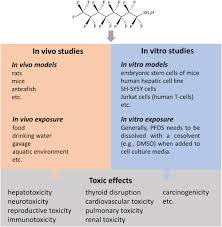 Pfos emission pattern could be explained by the number of urban residents in the subcatchment (rather than total population). Assessing The Human Health Risks Of Perfluorooctane Sulfonate By In Vivo And In Vitro Studies Sciencedirect