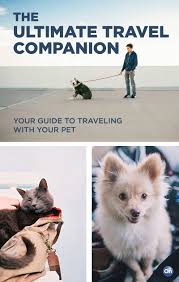 Safety Tips For Traveling With Pets Pet Travel Animals Friends Pets