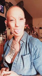 German shorthaired pointer beats the heat