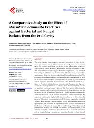 Image result for Massularia