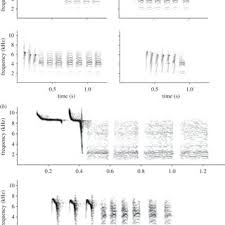The cost may vary depending upon various facing a pest attack in your home? Pdf Linking Social Complexity And Vocal Complexity A Parid Perspective