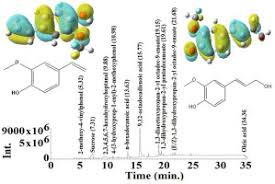 Image result for Tephrosia elata