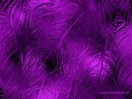 Browse 13,805 pink & purple backgrounds stock photos and images available, or start a new search to explore more stock photos and images. 43 Hd Purple Wallpaper Background Images To Download For Free