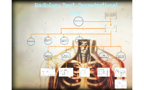 Radiology Dept Organizational Chart By Ayumi Gomez On Prezi
