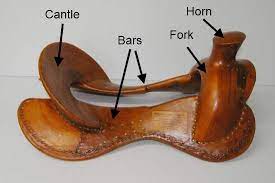 What Do Quarter Horse Semi Quarter Horse And Full Quarter Horse Bars Mean