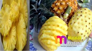 Di dalam bahasa inggeris dia dipanggil sebagai pine cone dan. Pakar Dedah Khasiat Buah Nenas Ramai Tak Tahu Majalah Perdana